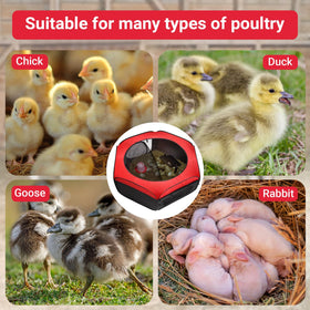 FAMIROSA Brooder Box heating pad control shows precise 0–122°F warmth.