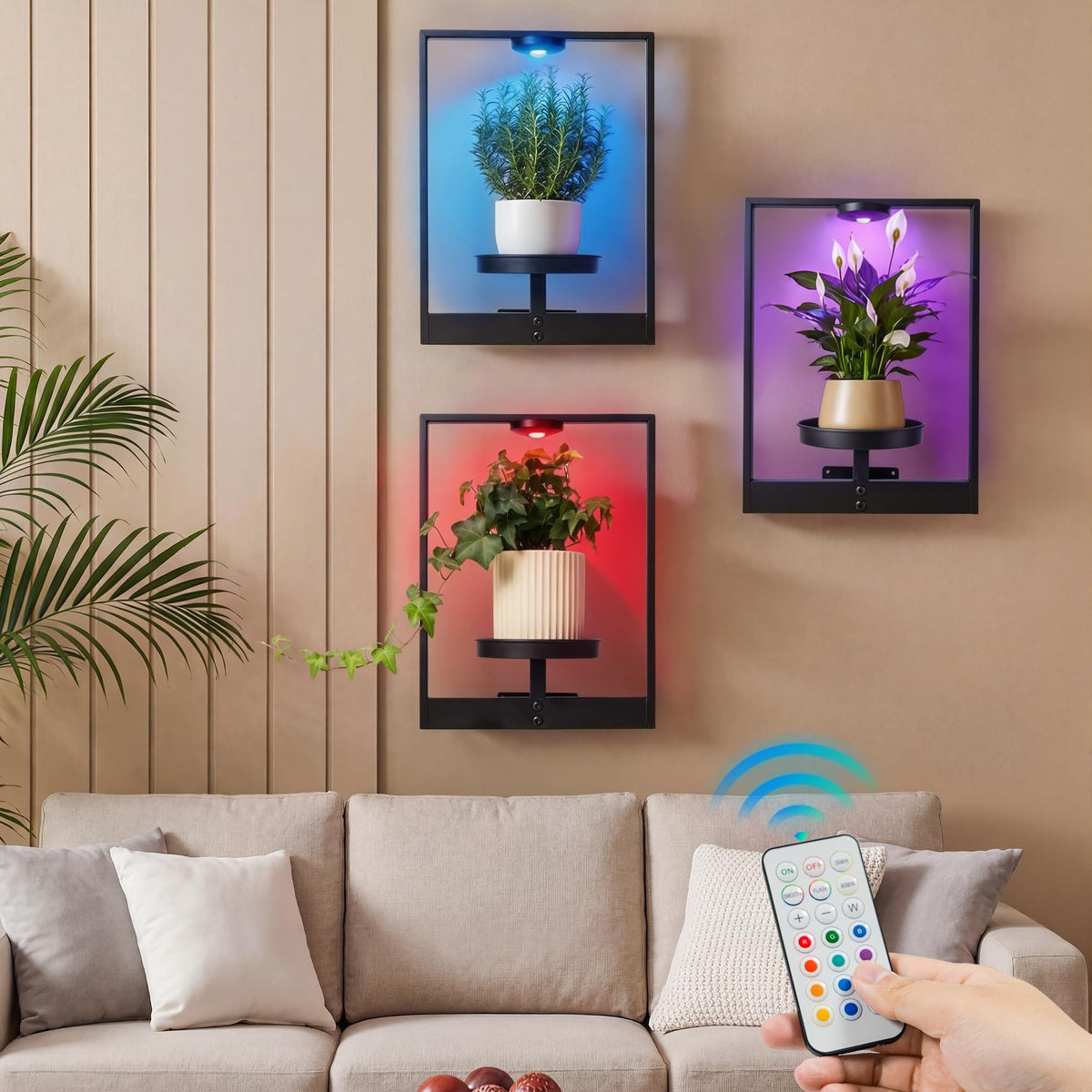 FancyPlus simple assembly with video guide for quick setup.