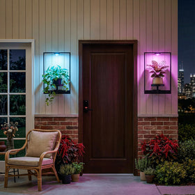 FancyPlus space-saving wall planter maximizes vertical space.