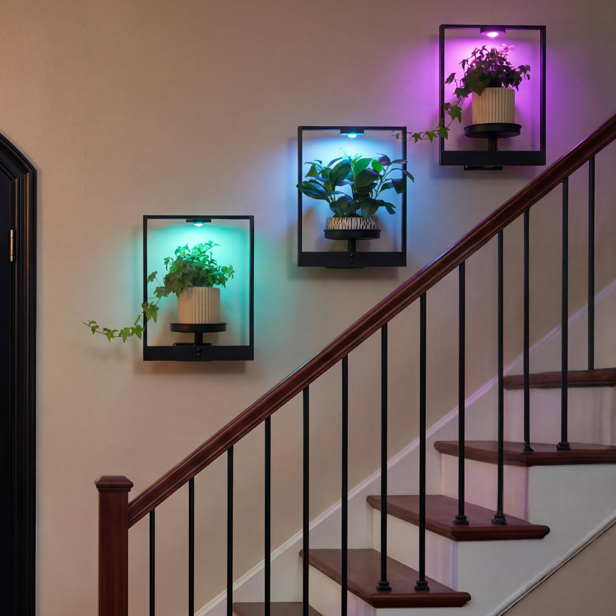 FancyPlus versatile decor for living room, balcony, or bedroom.