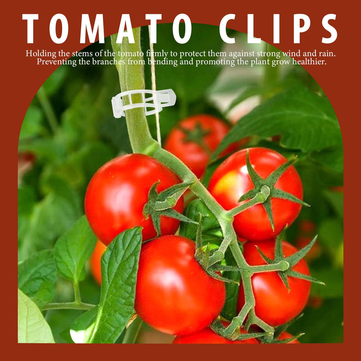 Fandamei tomato clips for vertical gardening prevent slippage