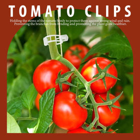 Fandamei tomato clips for vertical gardening prevent slippage