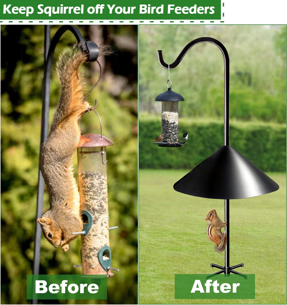 Fandature wide 19inch diameter baffle on pole shields feeders from pests