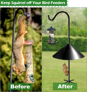 Fandature wide 19inch diameter baffle on pole shields feeders from pests