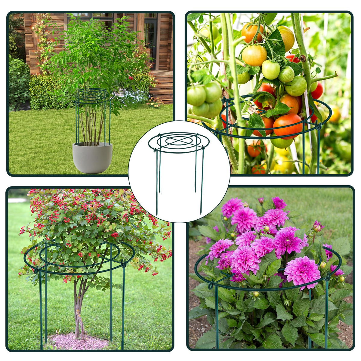 Fantang 3Set versatile for peonies, hydrangeas, and tomatoes.