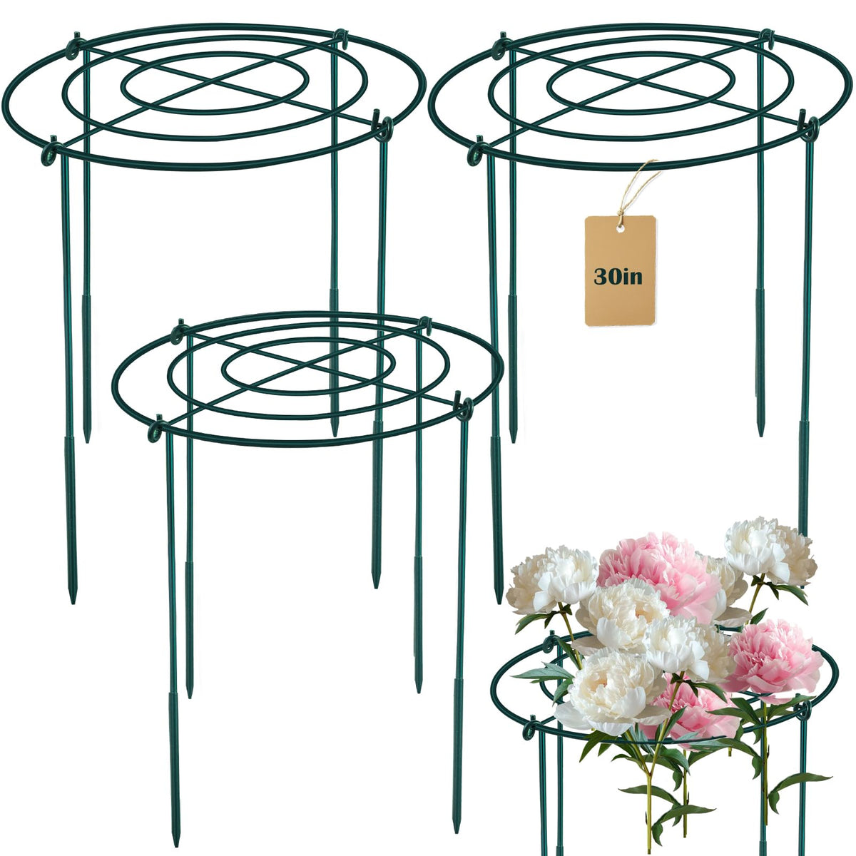 Fantang 3Set metal peony cage with 33 cm top ring supports upright blooms.