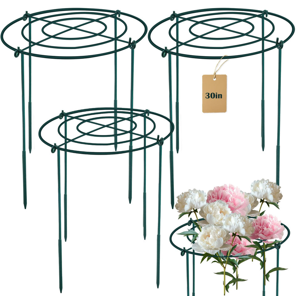 Fantang 3Set metal peony cage with 33 cm top ring supports upright blooms.