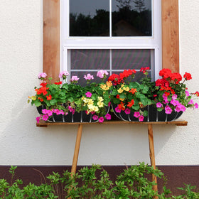 Fantang planter liner suitable for vegetables and herbs in shallow-root pots.