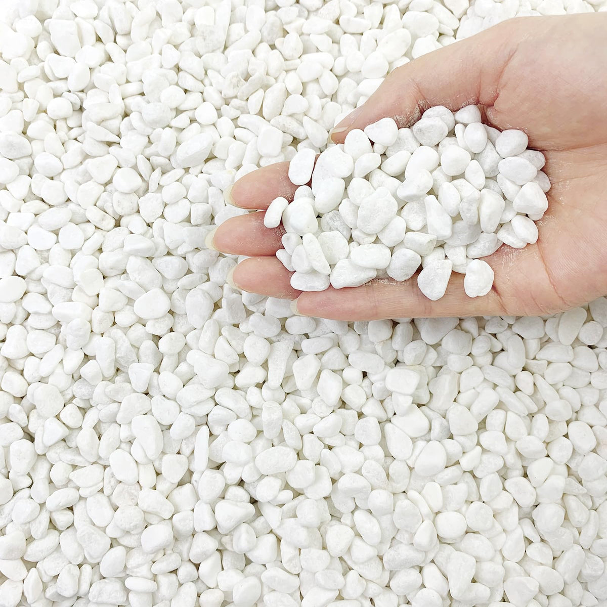 FANTIAN 2 lbs white river rocks in 3/8-inch size for plant pots and display