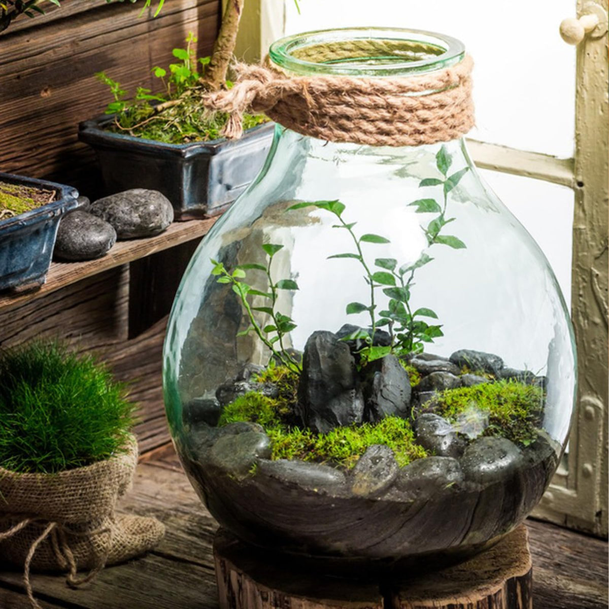 FANTIAN black river rocks 1-2 inch provide durable drainage and weed suppression.
