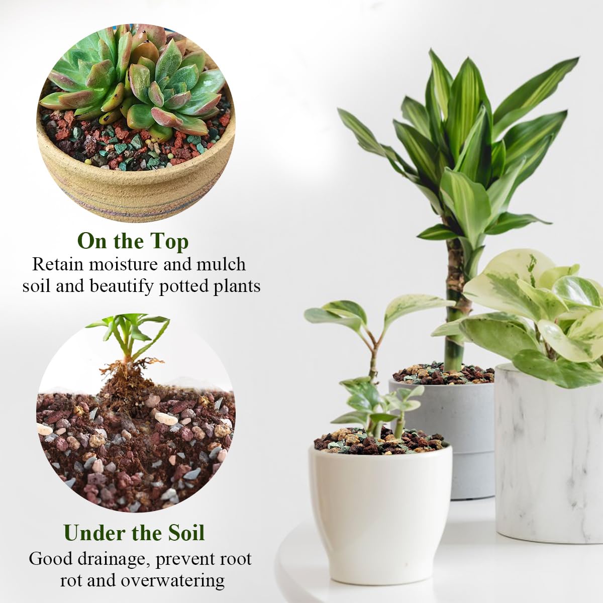 FANTIAN mix improving drainage for bonsai and orchids