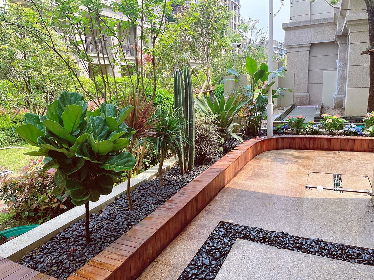 Versatile black rocks for terrariums, fountains, and fairy garden accents