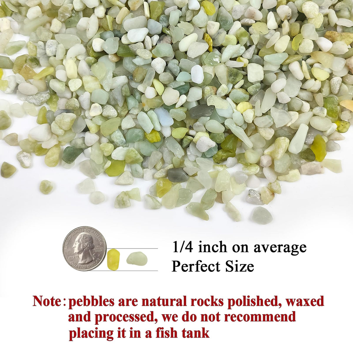 FANTIAN Jade Pebbles 1/4 inch stones in a small planter boost drainage and aesthetics