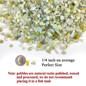 FANTIAN Jade Pebbles 1/4 inch stones in a small planter boost drainage and aesthetics