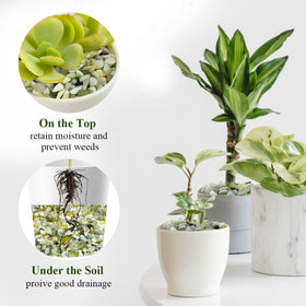Drainage layer using FANTIAN jade rocks to prevent overwatering in potted plants