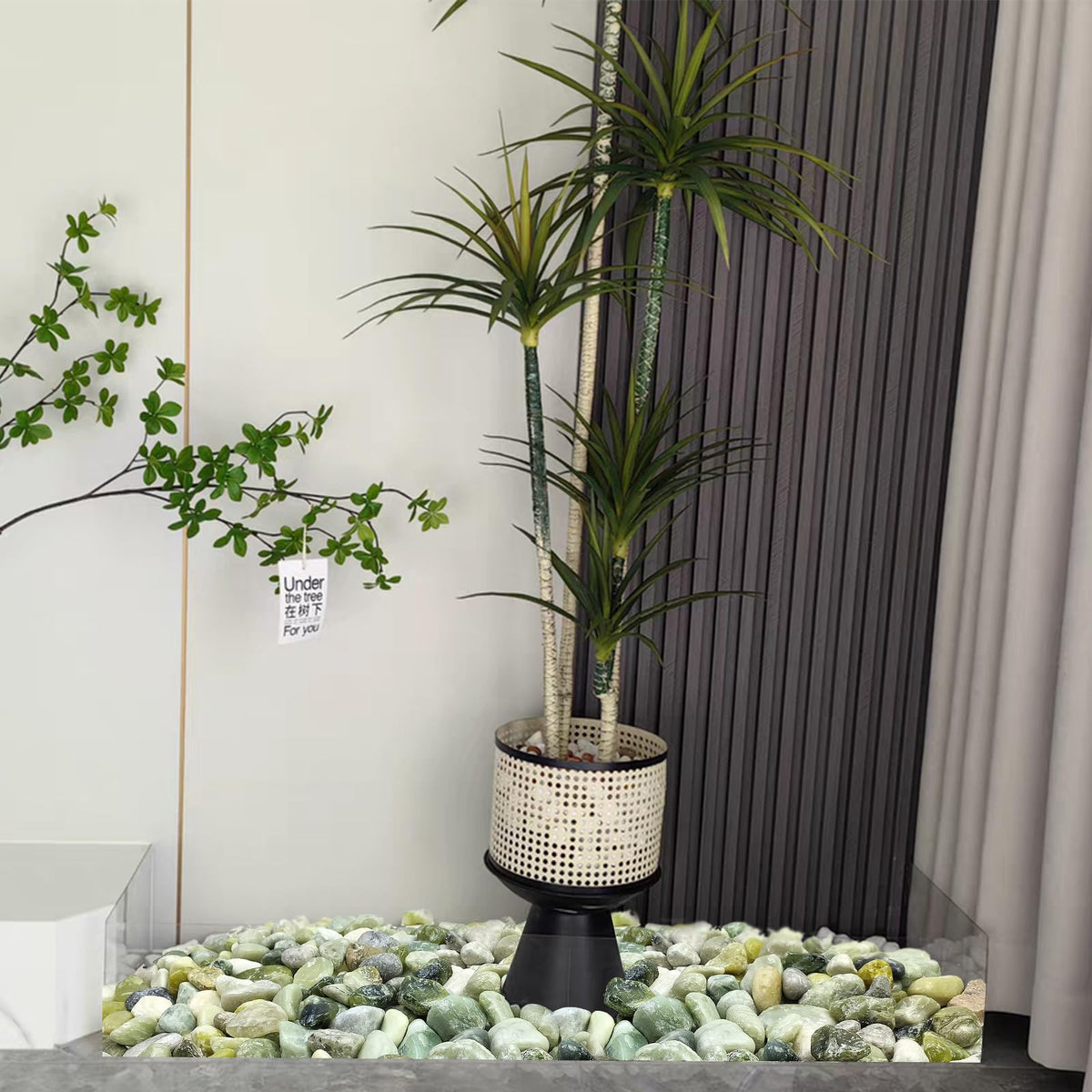 FANTIAN Jade terrarium with succulent display using green pebbles.