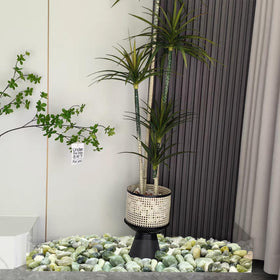 FANTIAN Jade terrarium with succulent display using green pebbles.