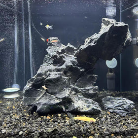 FANTIAN lava rocks natural look and texture in planters.