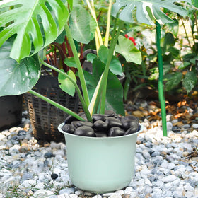FANTIAN outdoor landscaping stones add lasting color to patios and garden borders.