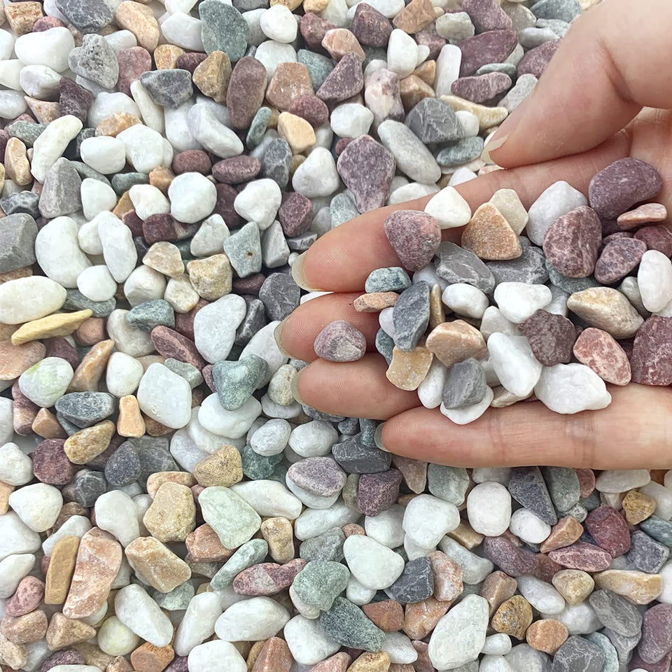 FANTIAN pea gravel closeup shows mixed colors for appealing succulent displays