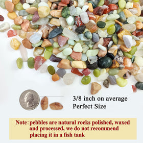 FANTIAN pebbles for vases add color and prevent soil splatter during watering