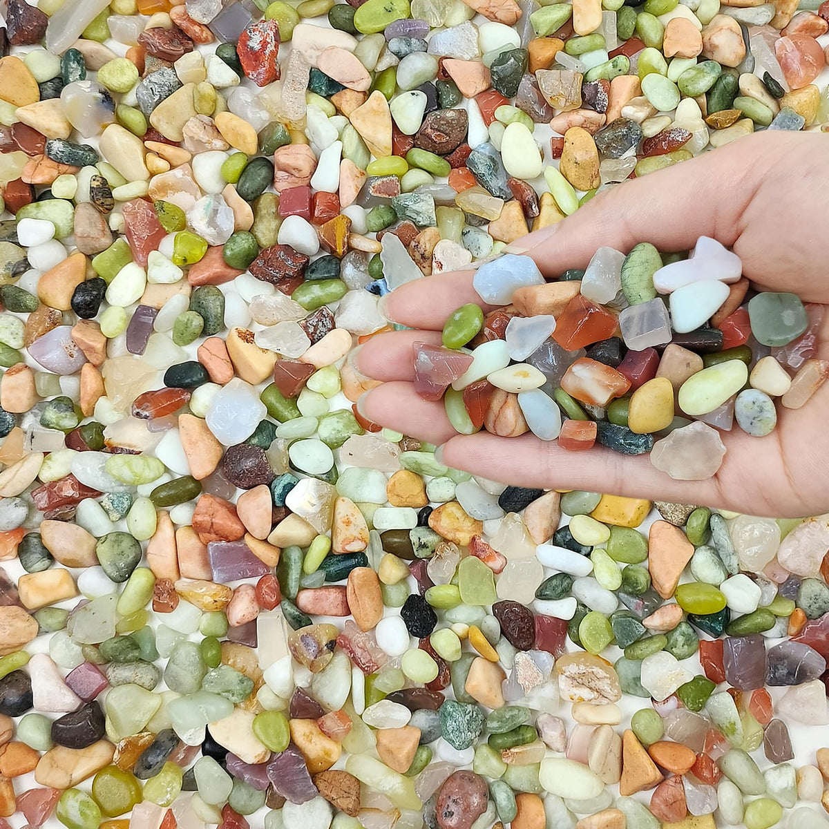 FANTIAN natural rocks are pet-friendly and dust-free