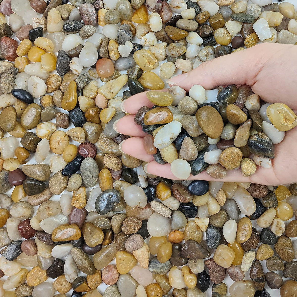FANTIAN polished pebbles for terrariums and bowls add organic contrast