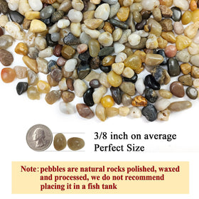 FANTIAN polished pebbles for planters add natural color without dyes