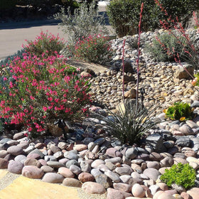 FANTIAN rocks resist fading with time, preserving visual appeal in sunlit patios.