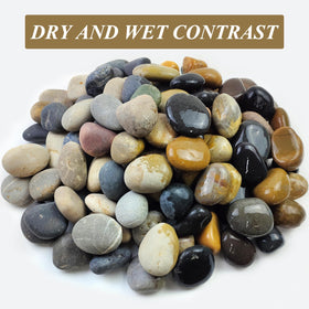 FANTIAN mixed-color river stones brighten garden paths and planters