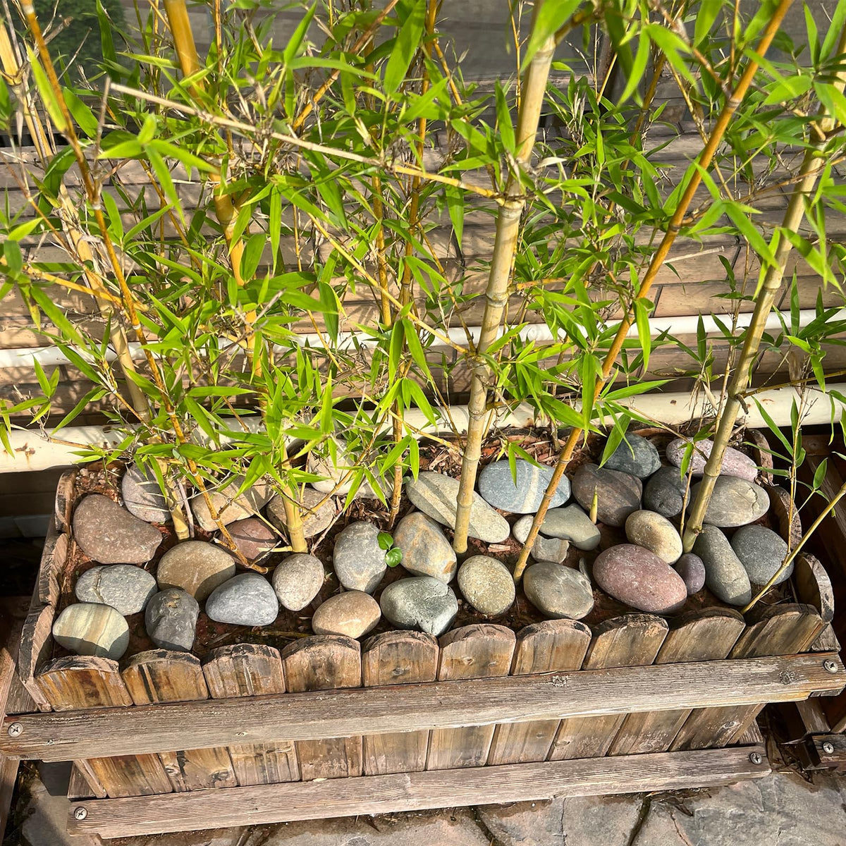 FANTIAN river rocks enhance ponds and water features naturally