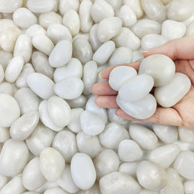 FANTIAN small white pebbles in planters enhance drainage and visual appeal.