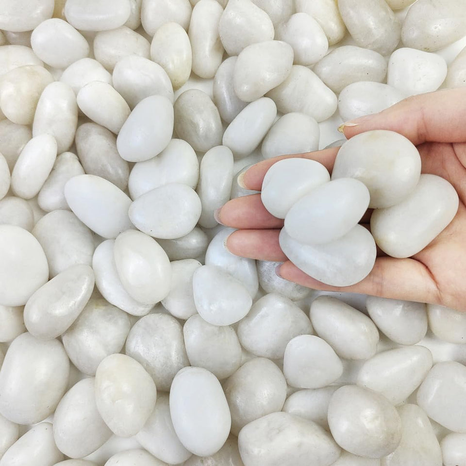 FANTIAN small white pebbles in planters enhance drainage and visual appeal.