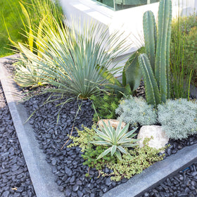 FANTIAN walkway stones brighten paths and help prevent soil erosion.