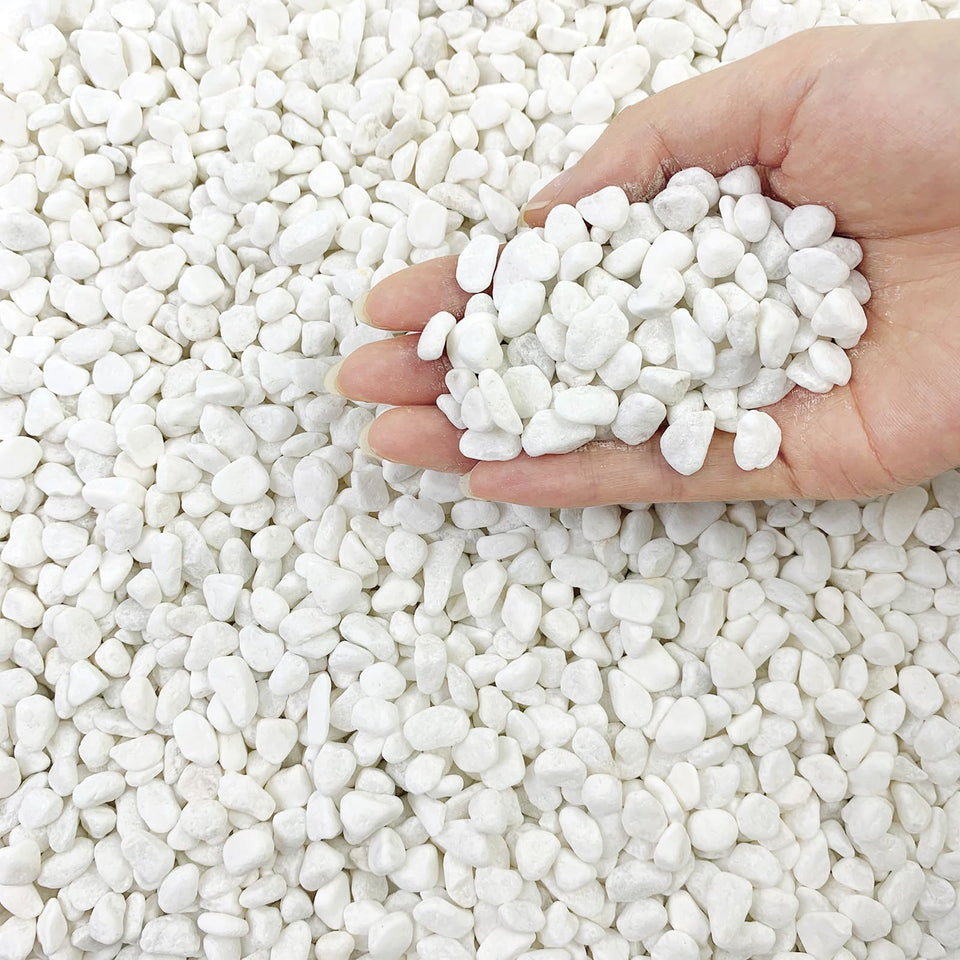 FANTIAN white pea gravel closeup with 3/8 inch stones for neat succulent displays.