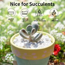 FANTIAN white pea gravel aquarium decor smooth stones resist water buildup and reduce clutter.
