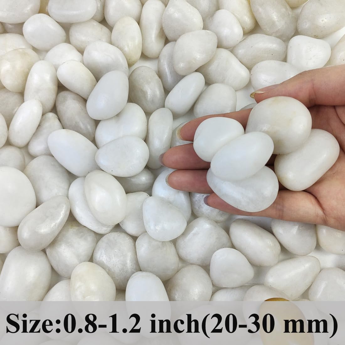 FANTIAN white pebbles add decorative texture to pots and containers.