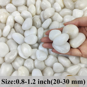 FANTIAN white pebbles add decorative texture to pots and containers.