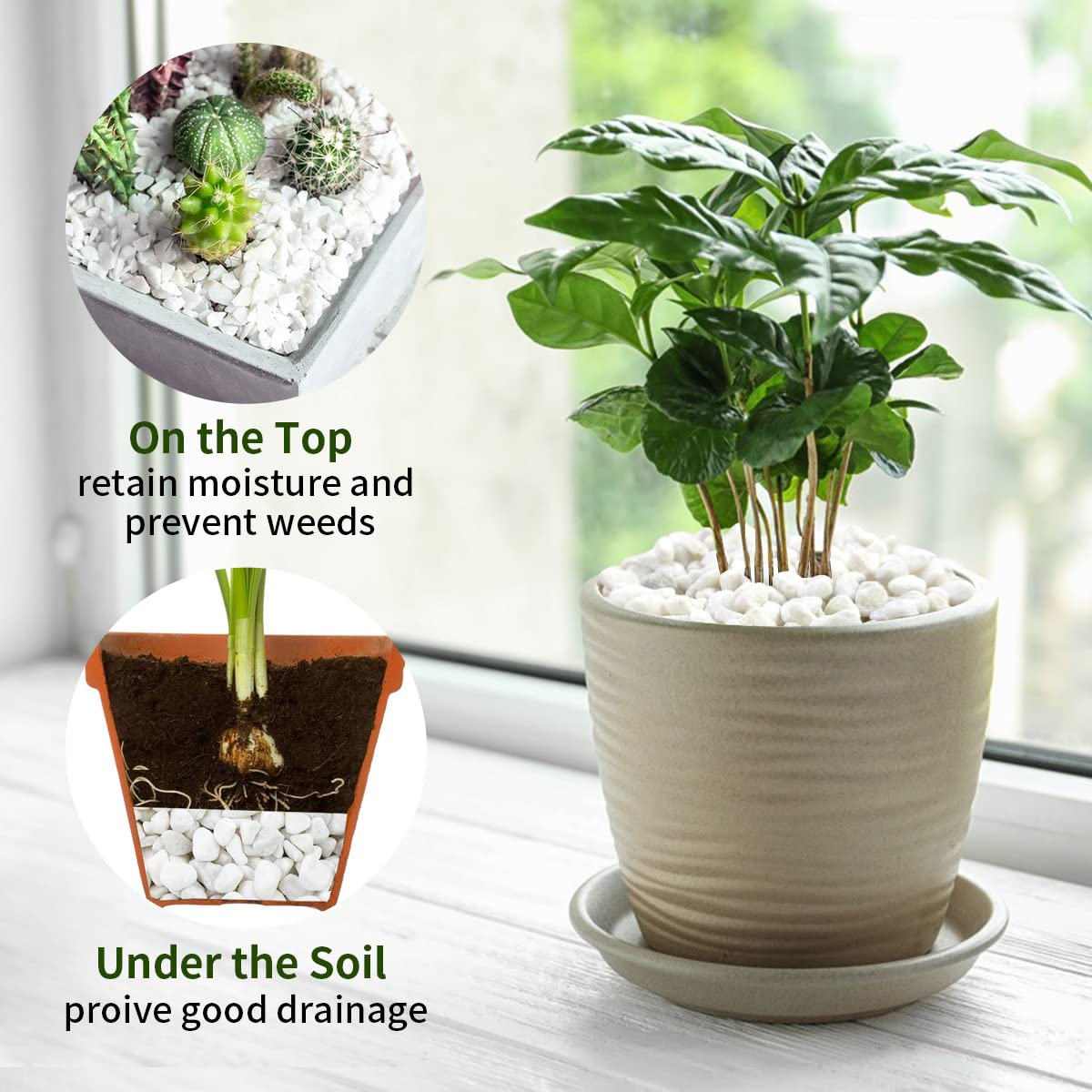 Outdoor garden decor with FANTIAN white river rocks edging