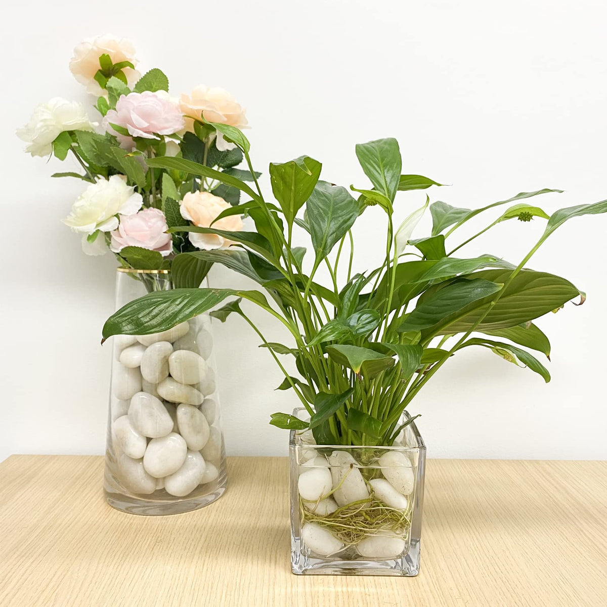 FANTIAN succulent pot stones improve drainage and aesthetics