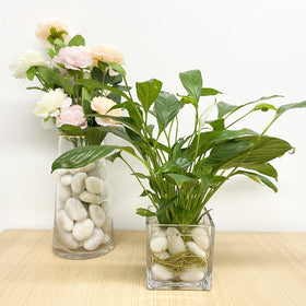 FANTIAN succulent pot stones improve drainage and aesthetics