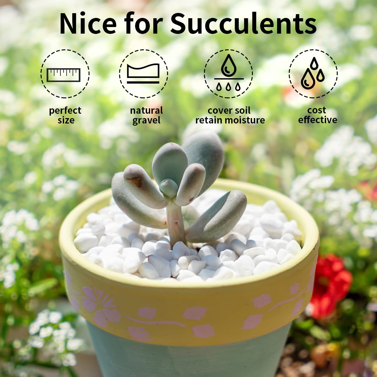 Terrarium-ready white river rocks from FANTIAN for small ecosystems