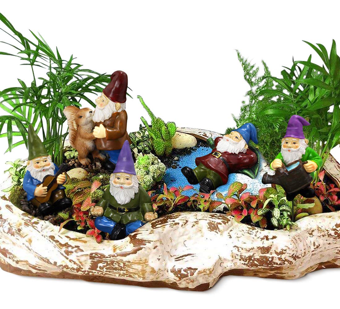 FANWNKI gnomes dancing with a squirrel brighten the yard decor