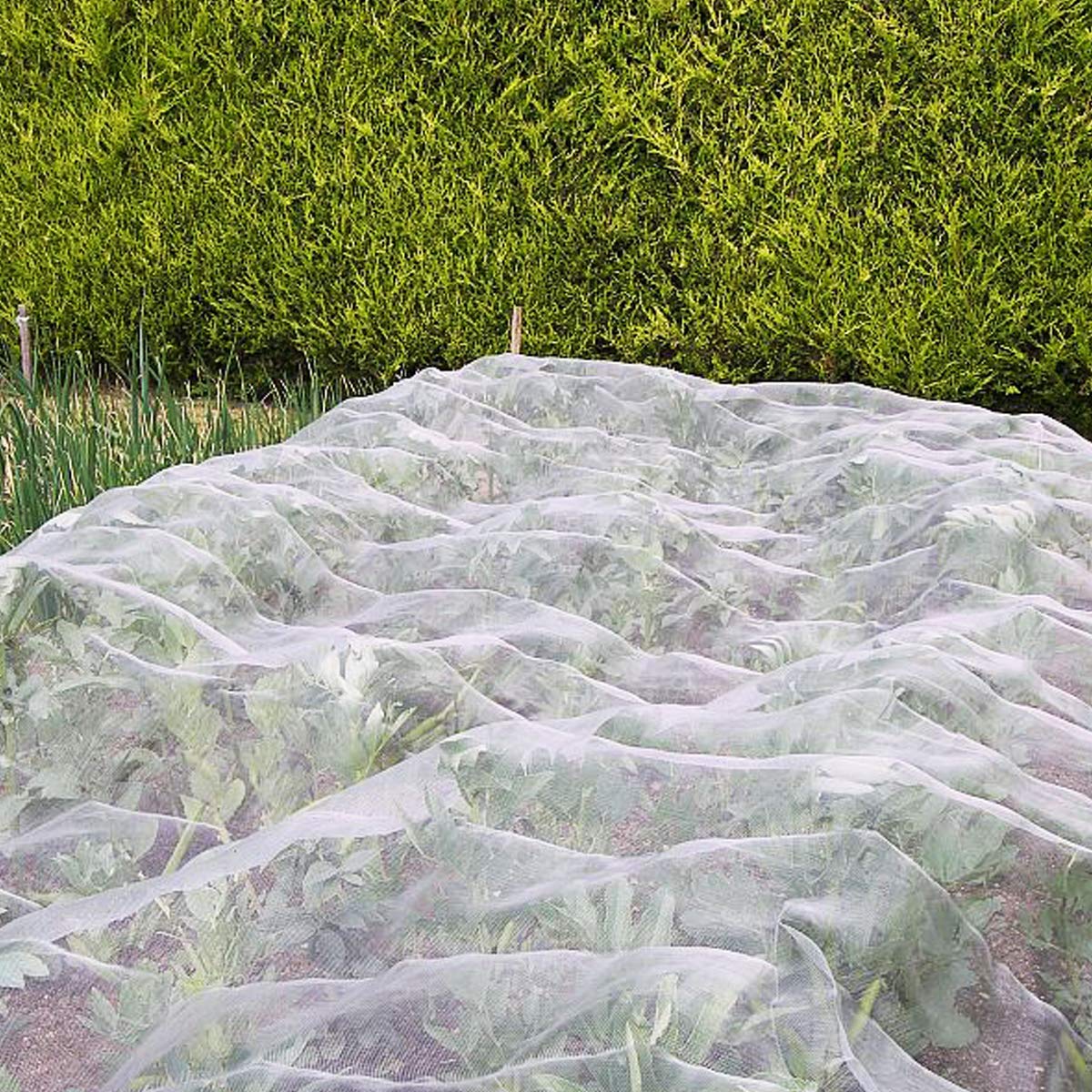 FARAER orchard and pasture netting provides bird and insect protection