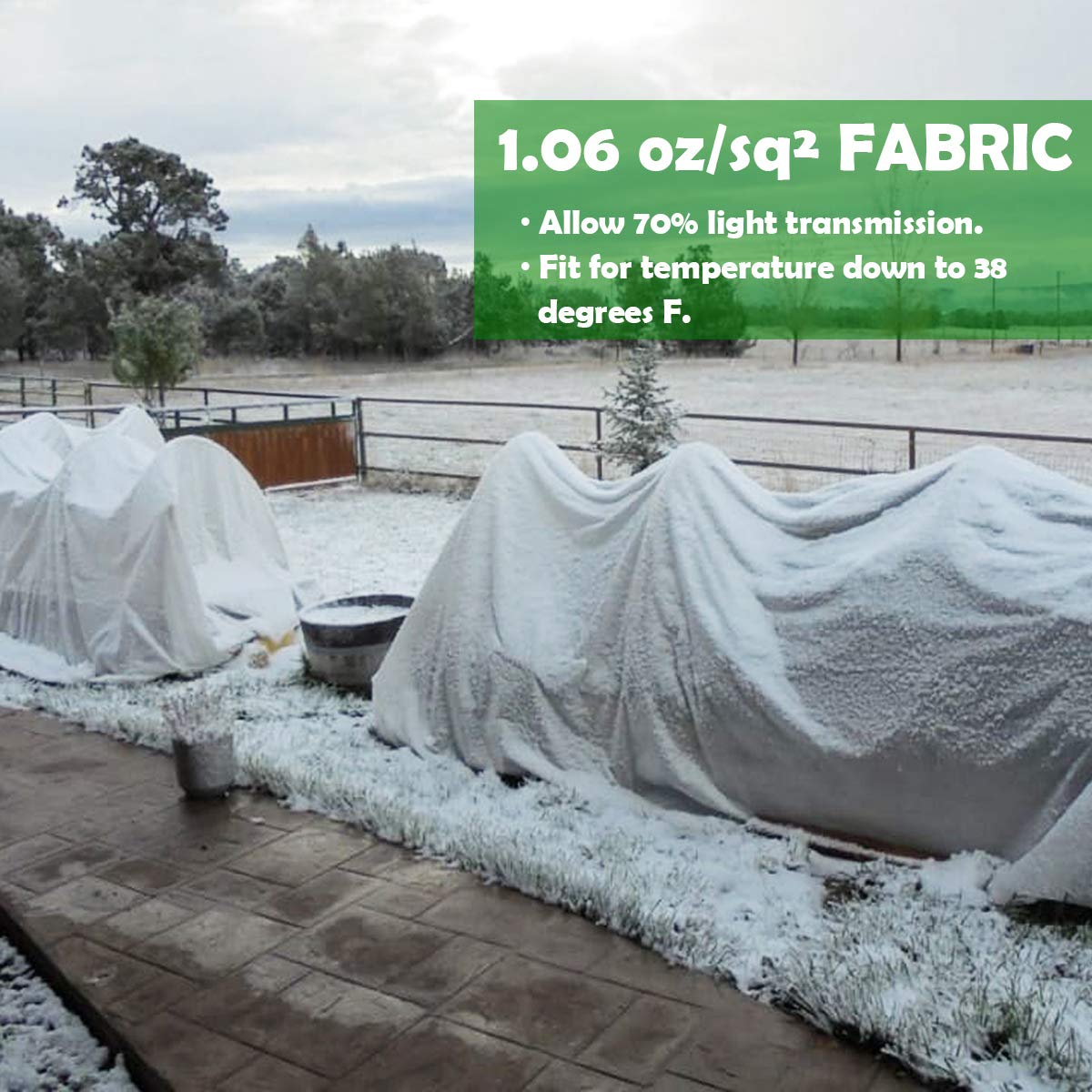 FARAER plant cover can be cut to fit wide-row plantings.