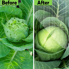 FARAER protection for tomatoes, grapes, and similar crops with fine mesh coverage.