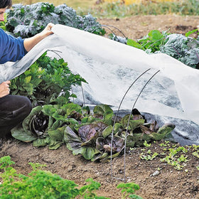 faraer plant cover rain-through design keeps soil moist