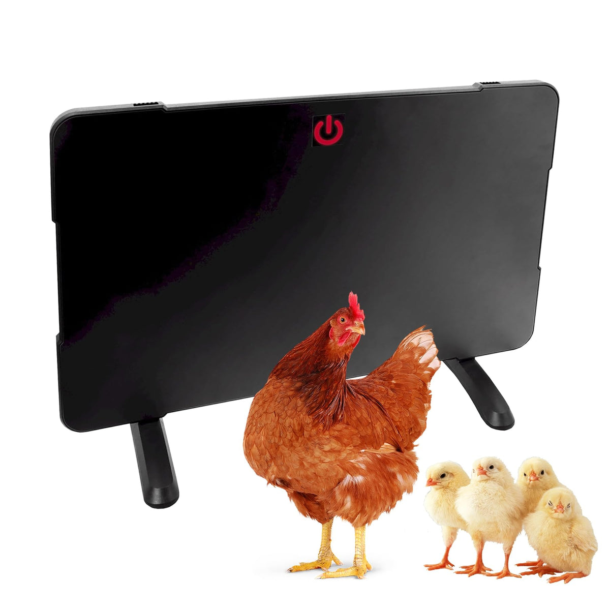 Farm Innovators 2-in-1 radiant panel coop heat installed in a spacious coop for steady warmth.