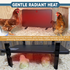 Farm Innovators 2-in-1 radiant panel saves energy versus lamps.