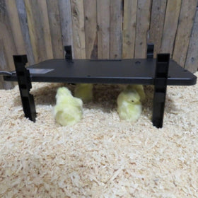 Farm Innovators 2-in-1 radiant panel wall-mounted for flexible coop placement.